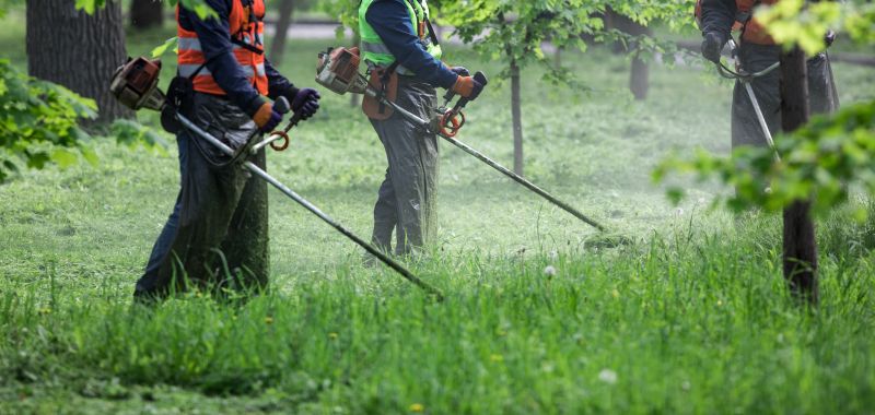 Experienced Lawn Care Teams