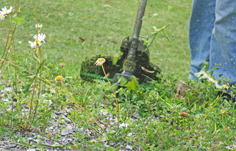 Local Landscaping Services