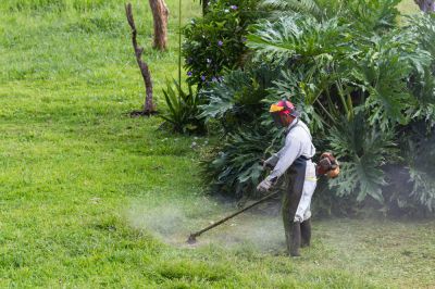 Weed Whacking, Weed Whacking, Idaho
